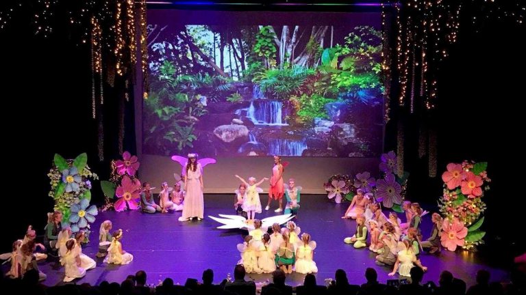 Elfen omgeving als achtergrond video bij theatershow