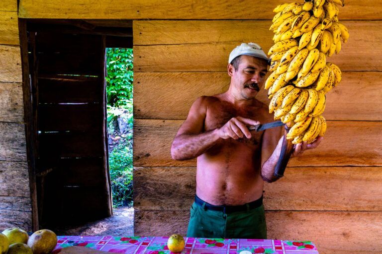 Up in the mountains near Baracoa, this man has a small fruit stop before the real climb on the Anvil begins.