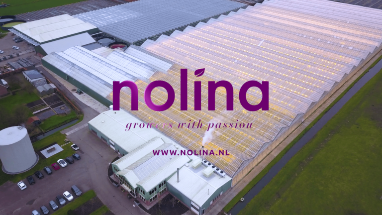 Social video’s Nolina Plants